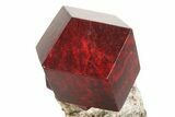Twinned Maroon Almandine Garnets in Schist - Italy #352076-2
